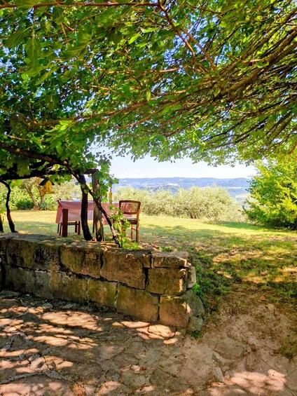 A stone wall with a table and chairs under a tree, overlooking a grassy landscape with distant hills. 2