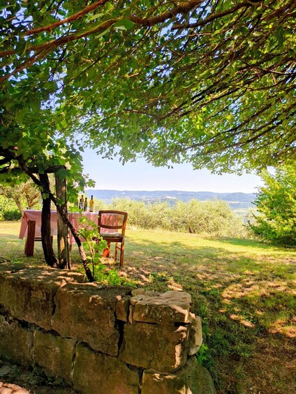 A picnic setup with a table and chairs under a tree, overlooking a hilly landscape. 4