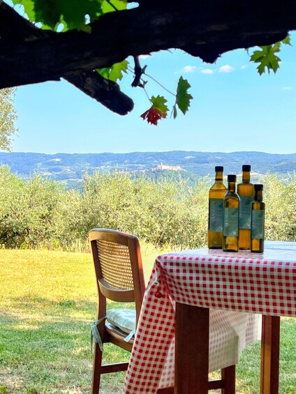 A table with a red and white checkered tablecloth, a chair, and three bottles of olive oil under a tree with a view of a hilly landscape. 1