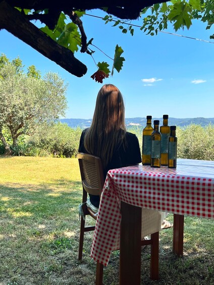 A person sitting at a table with a red and white checkered tablecloth, under a tree, with bottles and a view of the landscape. 5