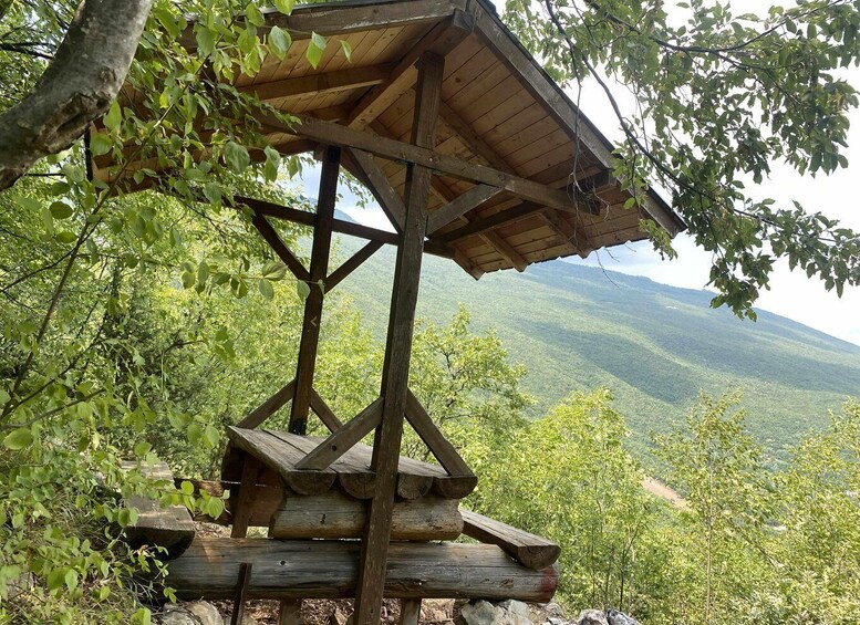 A wooden observation tower with a sloped roof, surrounded by trees and overlooking a mountainous landscape. 1