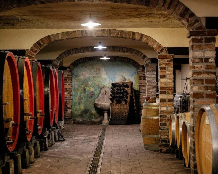 A wine cellar with wooden barrels and a brick wall. 5