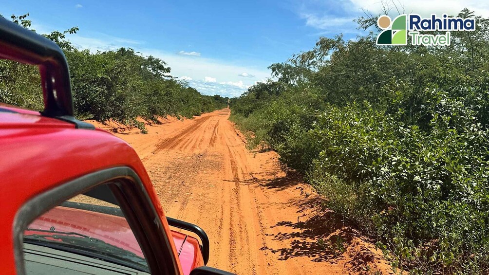 A red vehicle on a dirt road surrounded by dense vegetation. 5