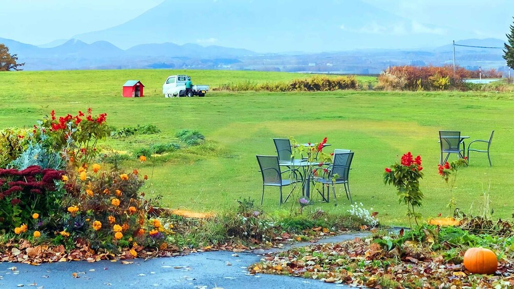 A grassy field with a table and chairs, a red shed, and a white van in the distance. 3
