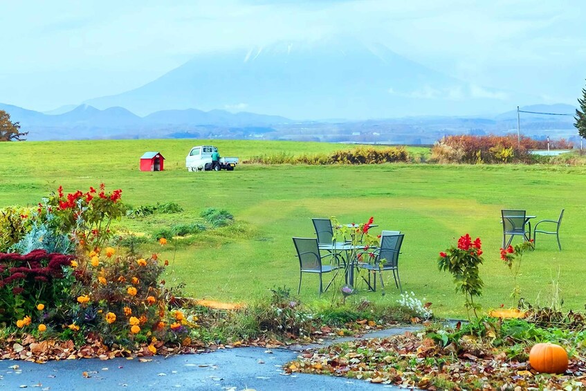 A rural landscape with a green field, a red barn, a white truck, and a table with chairs. 2
