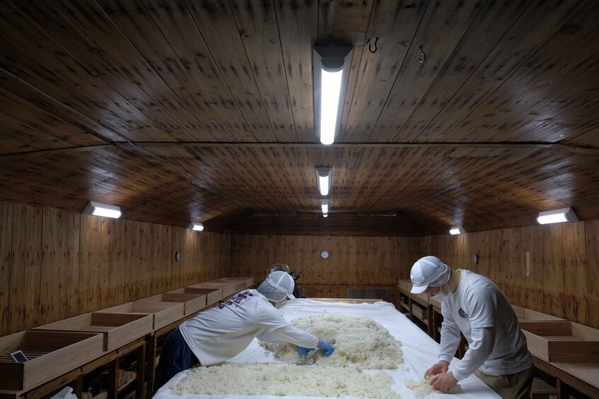 Two people working with rice in a wooden room with benches and overhead lighting. 4