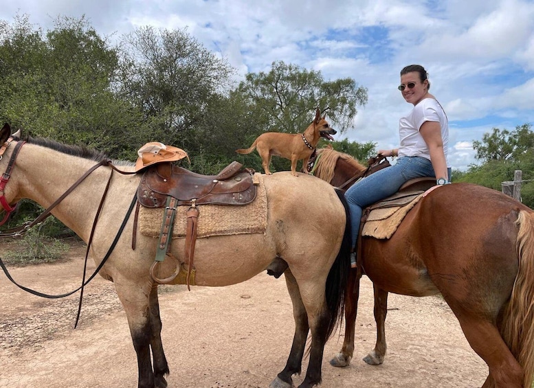 A person riding a horse with a dog on its back, both on a dirt path with trees in the background. 1