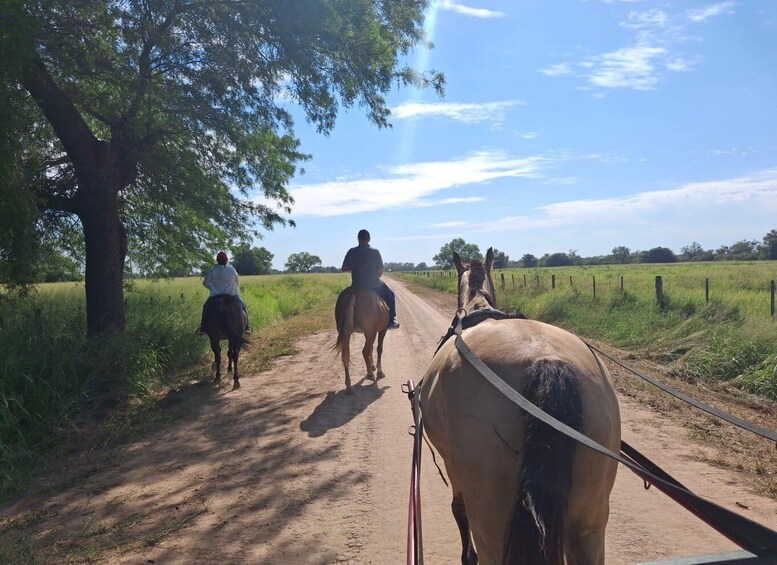 Two people riding horses on a dirt road with grass fields and trees on either side. 5