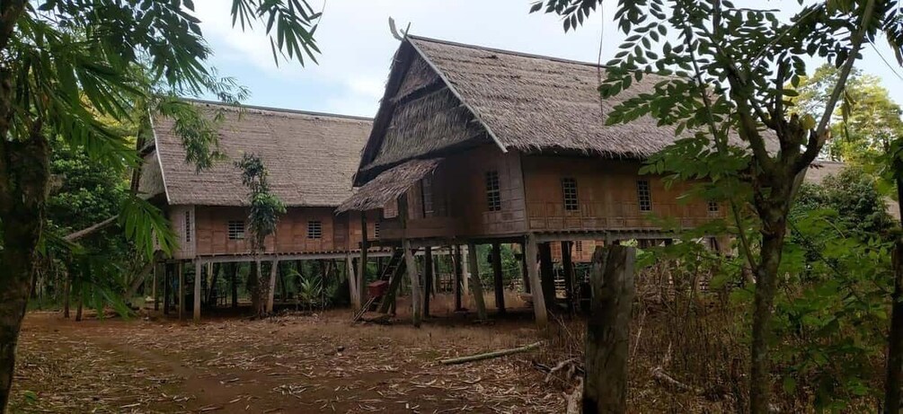 A traditional wooden house with a thatched roof, surrounded by dense tropical foliage. 3