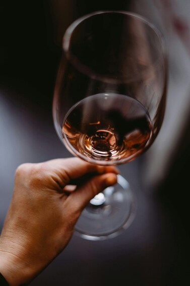 A hand holding a wine glass. 5