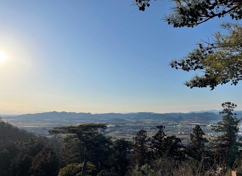 A mountainous landscape with a clear sky, distant cityscape, and dense forest. 1