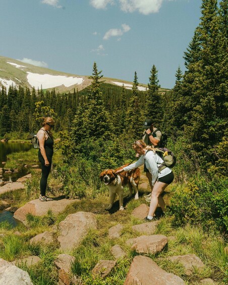 A group of people hiking in a mountainous area with a dog. 4