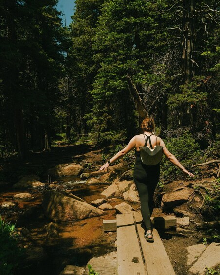 A person walking on a wooden bridge over a stream in a forest. 3