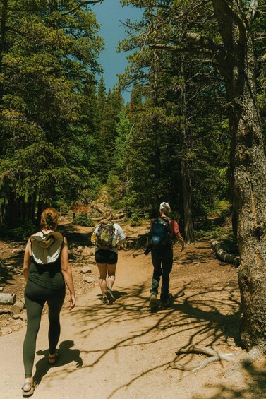 Three people hiking on a forest trail. 1