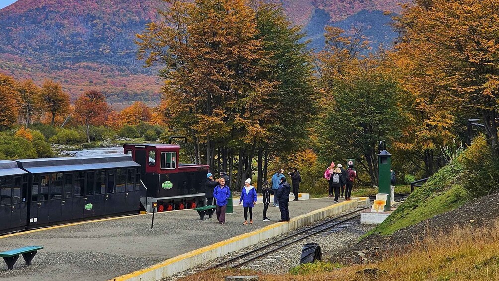 A train station platform with people waiting, a train, and autumn-colored trees in the background. 2
