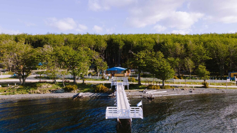 A wooden bridge over a river with a forested area and a building in the background. 5