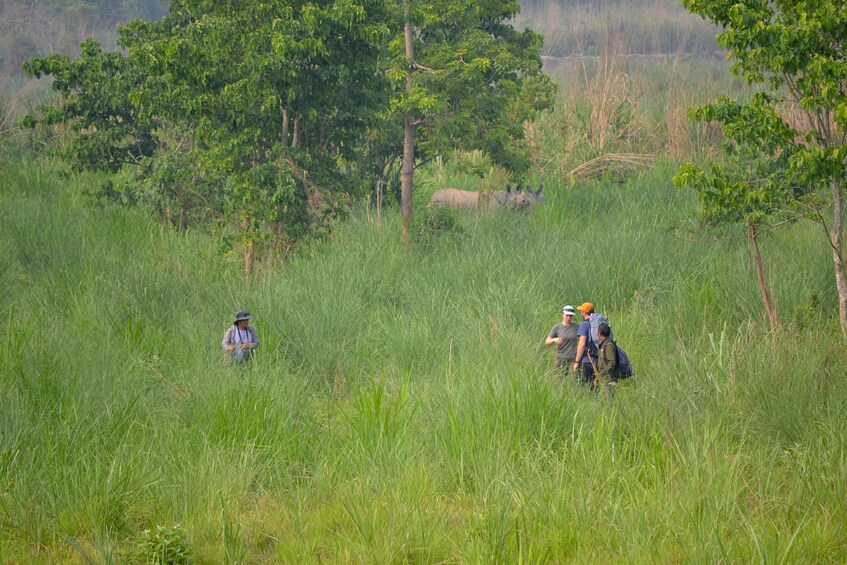 A grassy field with trees and a group of people in the distance. 1