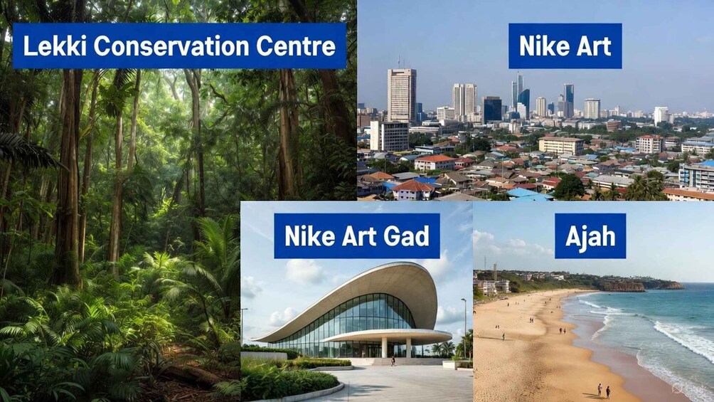 A dense forest, a cityscape, a modern building, and a beach. 5