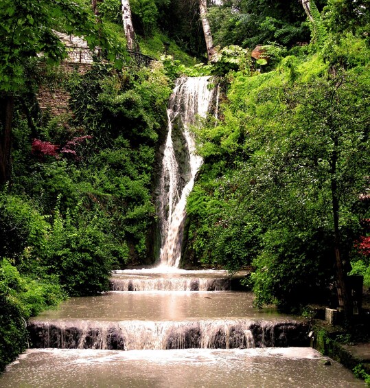 A waterfall cascading into a pond surrounded by lush greenery. 2