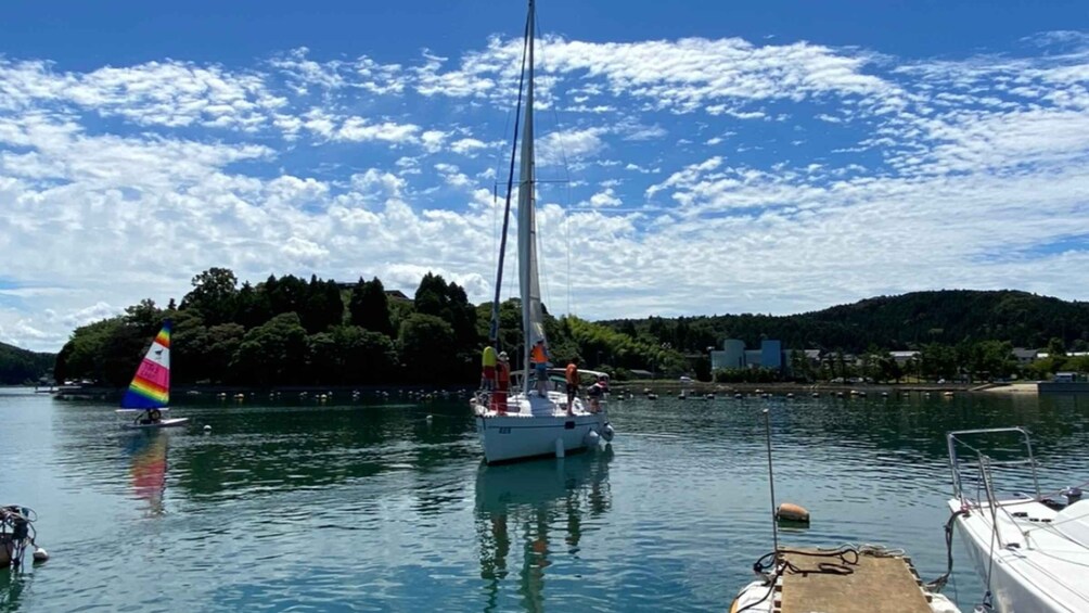 A sailboat on calm water with a rainbow flag, surrounded by a forested landscape and a clear sky. 5