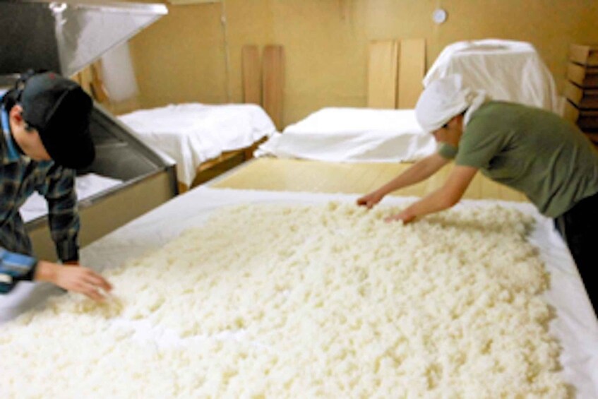 Dos personas trabajando con grandes bloques de queso en una planta de procesamiento. 5