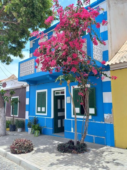 A colorful building with blue and white walls, green shutters, and pink bougainvillea flowers. 2