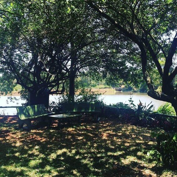 A park with a bench, trees, and a body of water. 4