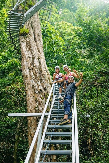 A group of people on a metal ladder in a forested area. 2