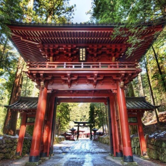 A traditional Japanese torii gate in a forested area. 4