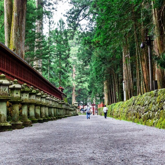 A forested pathway with a traditional red building on the left and a moss-covered stone wall on the right. 3
