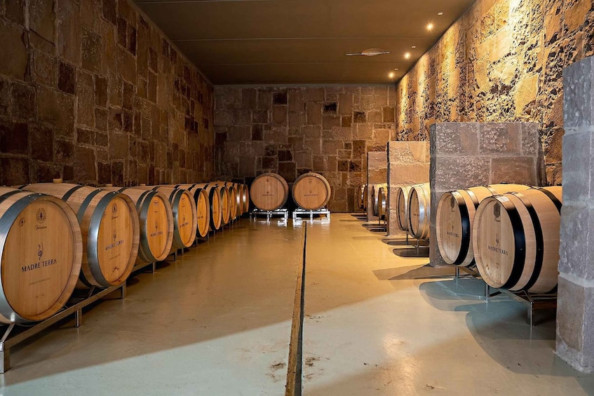 A row of wooden wine barrels in a cellar with stone walls. 2