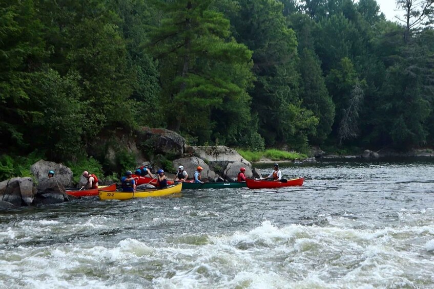 A group of kayakers navigating a river surrounded by dense forest. 1
