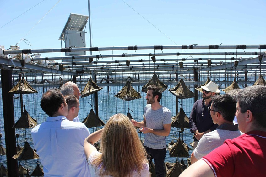 A group of people observing a fish farm with underwater cages. 1