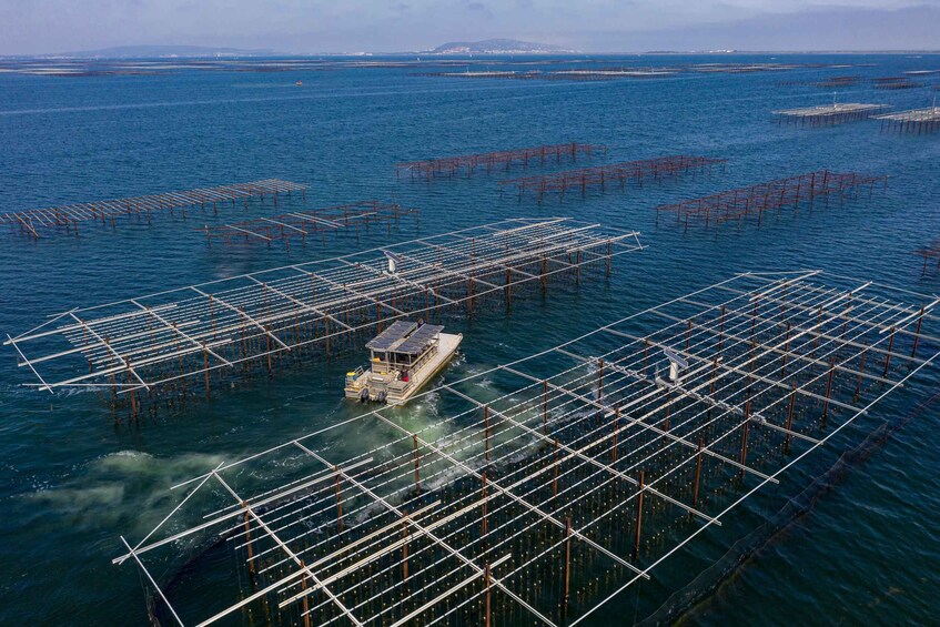 An offshore aquaculture farm with multiple floating platforms and a boat. 2