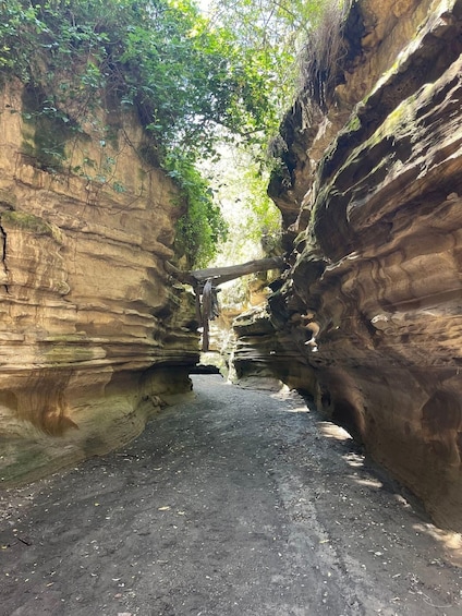 A narrow canyon with layered rock formations and a dirt path. 3