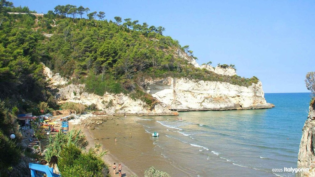 A coastal landscape with a beach, rocky cliffs, and a clear blue sea. 3