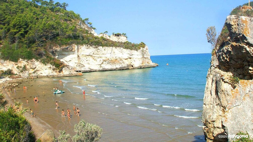 A beach with people swimming and a rocky cliff. 1