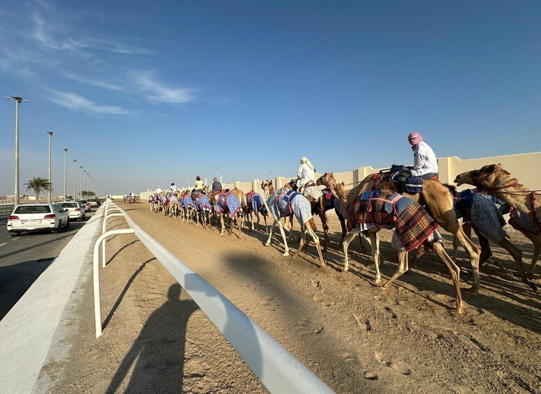 A camel caravan on a road with a clear sky. 4