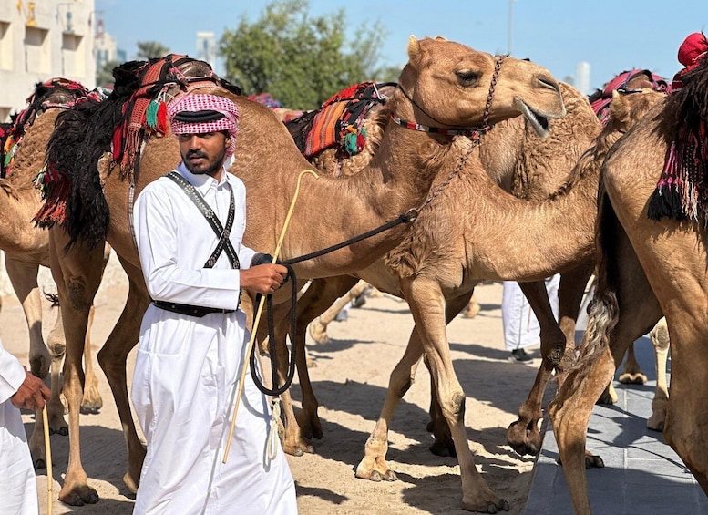 A person leading camels in a desert setting with buildings in the background. 1