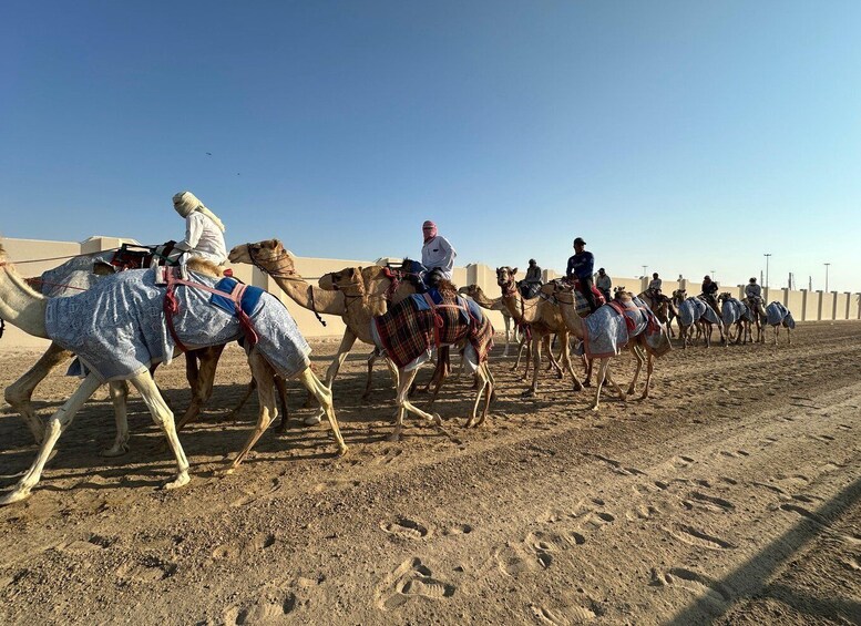 A group of camels with riders in a desert setting. 3