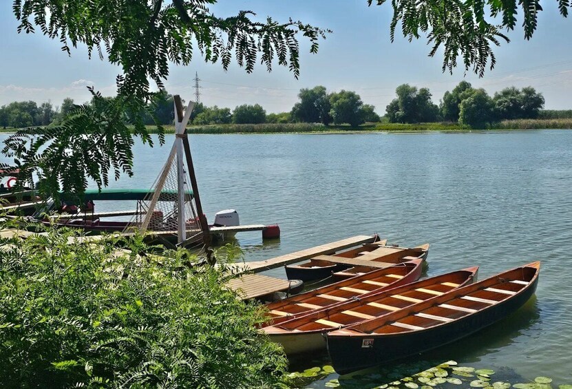 A calm lake with wooden boats docked at a wooden pier, surrounded by lush greenery and trees. 5