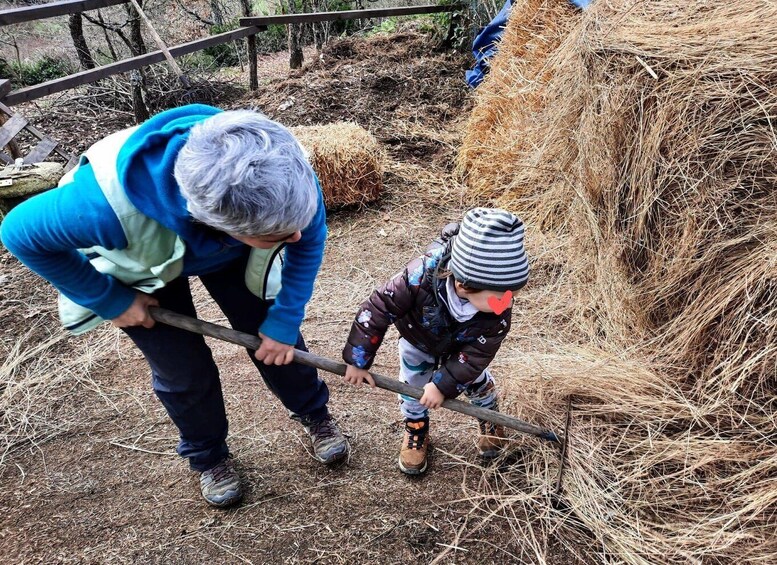 A person and a child digging a hole in a field with a shovel. 4