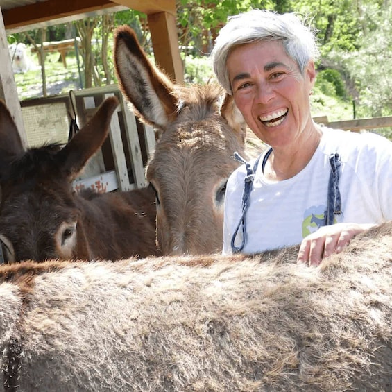 A person standing next to a donkey with a wooden fence in the background. 1