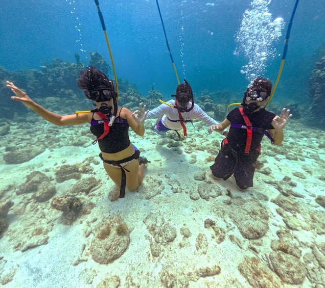 Three scuba divers underwater with fins and tanks. 1