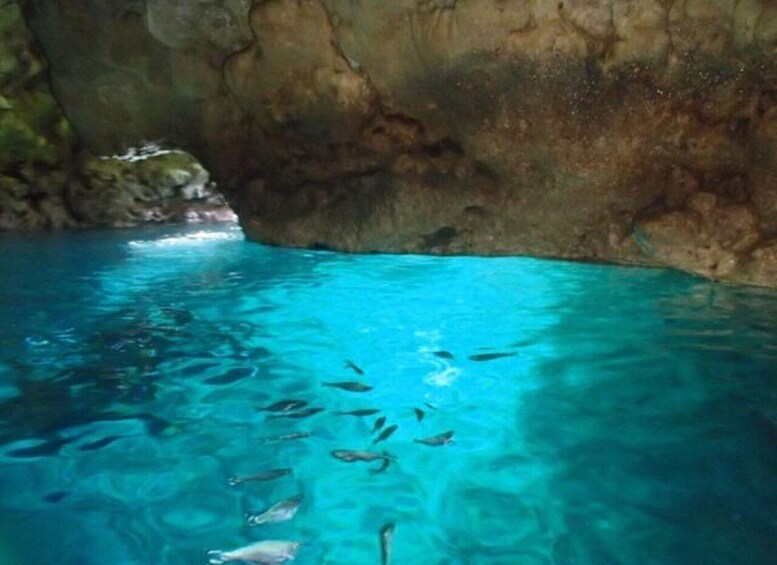 A clear blue pool with fish swimming, surrounded by rocky walls. 5