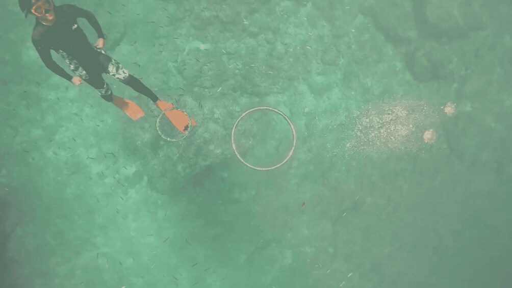 A diver in a black wetsuit and orange fins swimming near a circular object on the ocean floor. 2