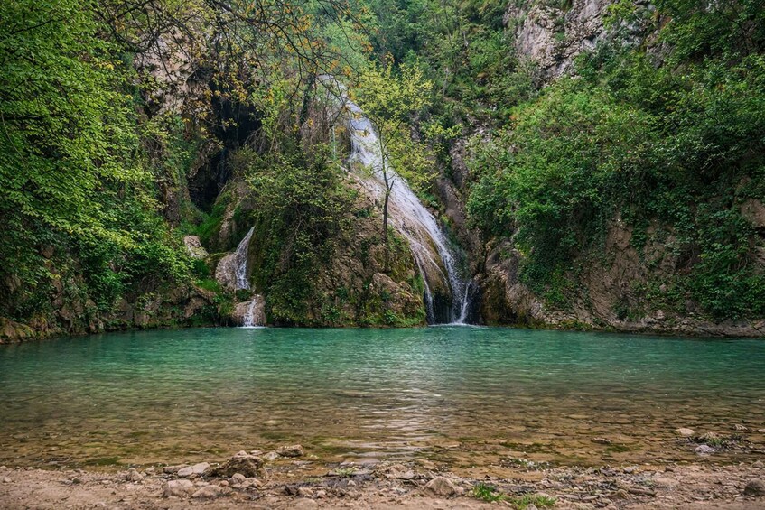 A waterfall cascading into a clear river surrounded by dense green foliage. 2