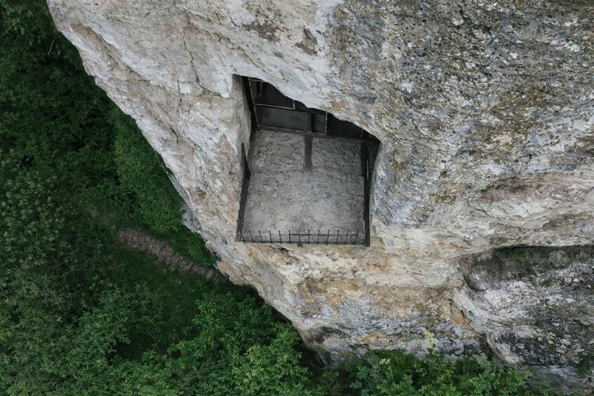 A narrow ledge with a metal railing, surrounded by dense green foliage. 4