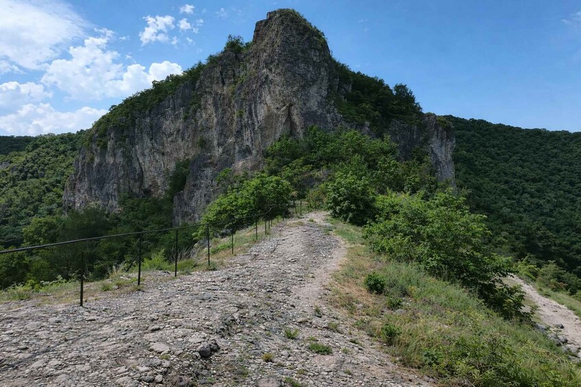 A rocky path leading up a steep, forested mountain. 3