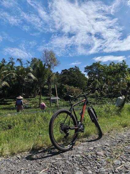 A mountain bike parked on a dirt path with lush greenery and trees in the background. 4